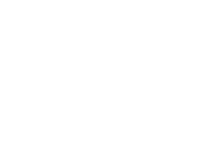 4-Nitroaniline（PNA）